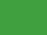 A green test fixture image for pipeline validation. Not a real photo.
